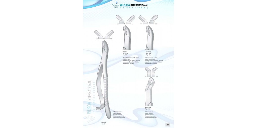 Extracting Forceps